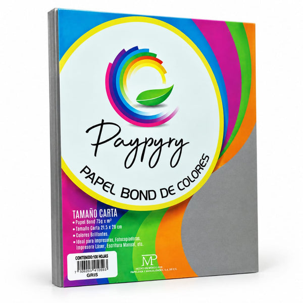 HOJA DE COLOR PAYPYRY H280 CARTA PAQ/100 GRIS