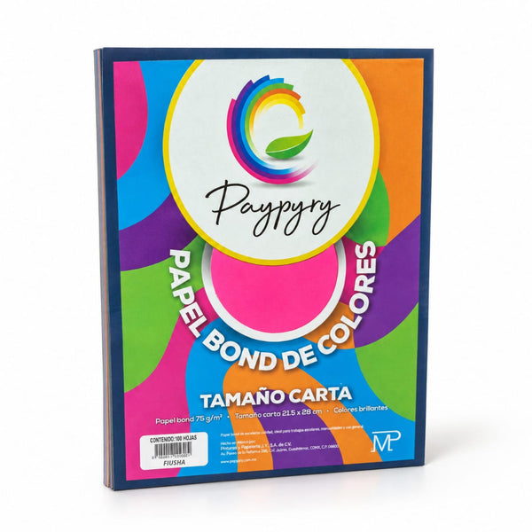 HOJA DE COLOR PAYPYRY H282 CARTA PAQ/100 FIUSHA