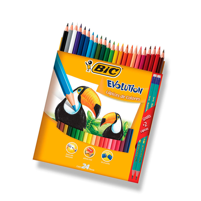 COLORES BIC EVOLUTION MINA + GRUESA C/24 (4MM)  943145/943145/514043