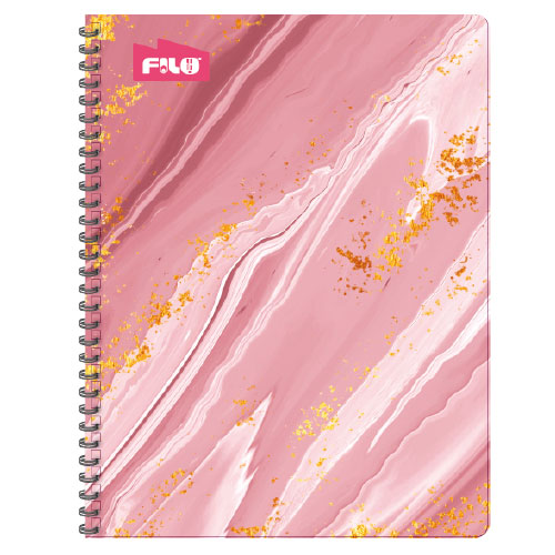 CUADERNO PROFESIONAL 100H ESPIRAL D.O.FILO TAPA RIGIDA C-5