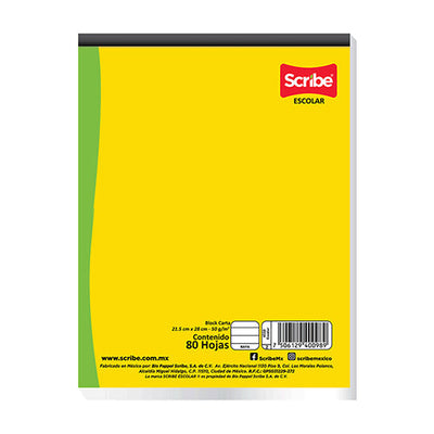 BLOCK CARTA SCRIBE 4700 PEGADO 80H RAYA