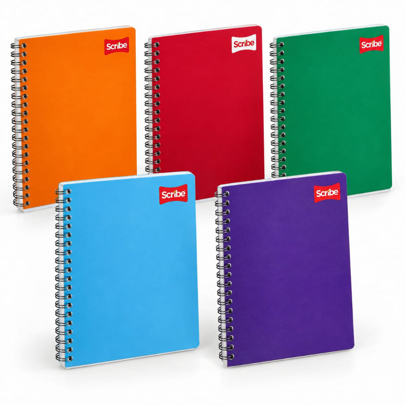 CUADERNO PROFESIONAL 2900 D.O SCRIBE 100H RAYA
