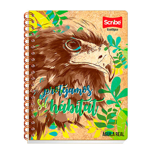 CUADERNO PROFESIONAL 3800 D.O ECOLOGICO 100H RAYA