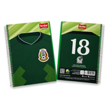 Cuaderno Profesional Pasta Semirrígida Doble Espiral 100 Hojas