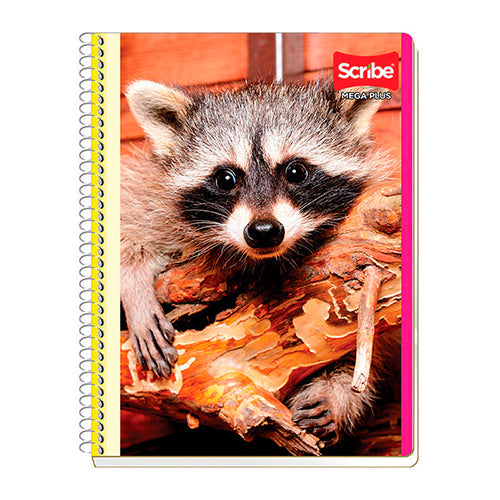 Cuaderno Profesional Pasta Semirrígida 100 Hojas Rayado Doble Espiral 1 Pieza