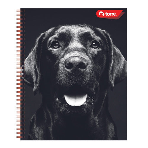 Cuaderno Profesional Torre C5 200 Hojas Cuadro Chico Espiral Rojo