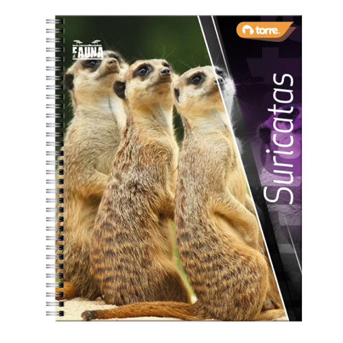 CUADERNO UNIVERSITARIO TORRE 33723 FAUNA C-7 100H