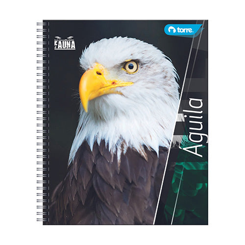 CUADERNO UNIVERSITARIO T.S TORRE 33724 FAUNA RAYA 100H