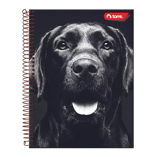 CUADERNO FRANCES TORRE DO SR B&W 100H C-7 34697